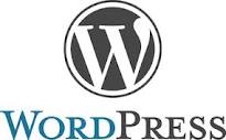 Wordpress logo web design website development